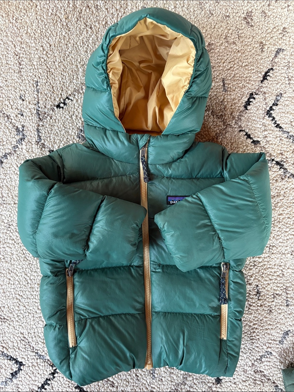 Patagonia Kids Puffer Jacket (2T)